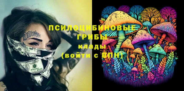 прущая мука Армянск