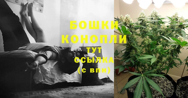 прущие крисы Белокуриха
