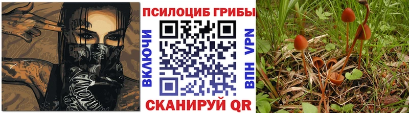 Псилоцибиновые грибы мицелий  магазин  наркотиков  Белокуриха 